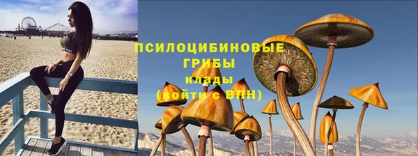 мяу мяу мука Абдулино