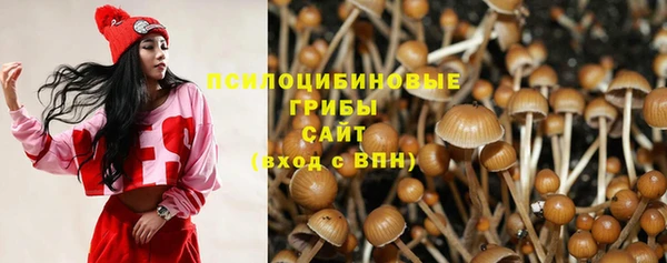 эйфоретик Абинск