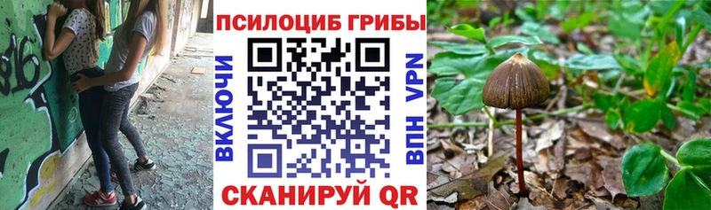 МЕГА рабочий сайт  Ярославль  Псилоцибиновые грибы мицелий 