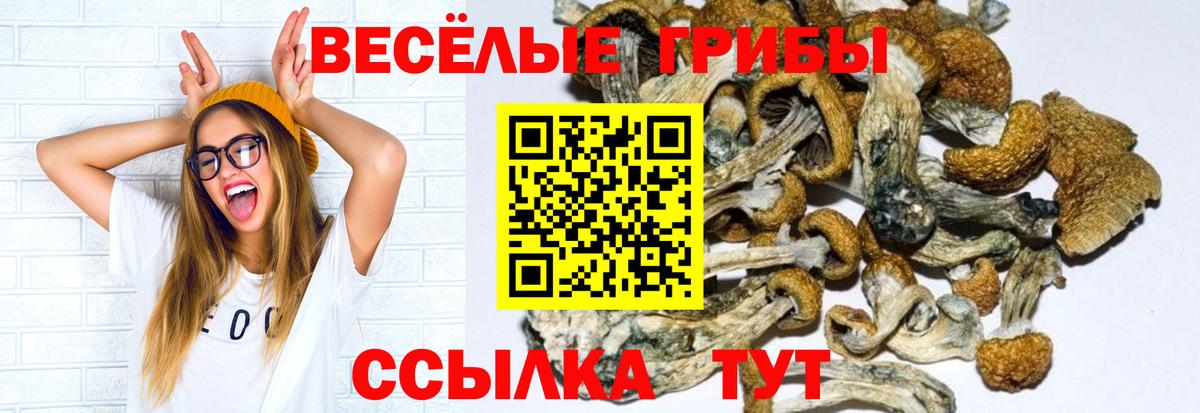 Галлюциногенные грибы мухоморы  Вход с VPN  Ярославль 