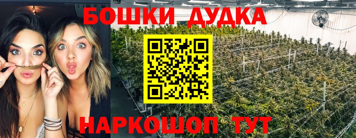 Каннабис ГИДРОПОН Ярославль